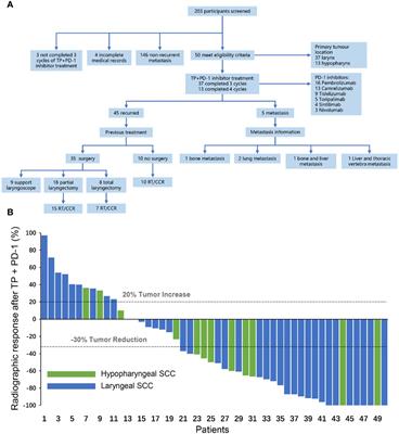 PD-1 inhibitor combined with paclitaxel and cisplatin in the treatment of recurrent and metastatic hypopharyngeal/laryngeal squamous cell carcinoma: efficacy and survival outcomes
